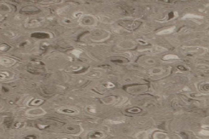 Medium Brown Gery 550110